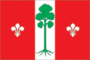 Flag of Barvichinskoe municipal division